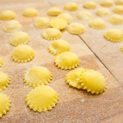 Anolini