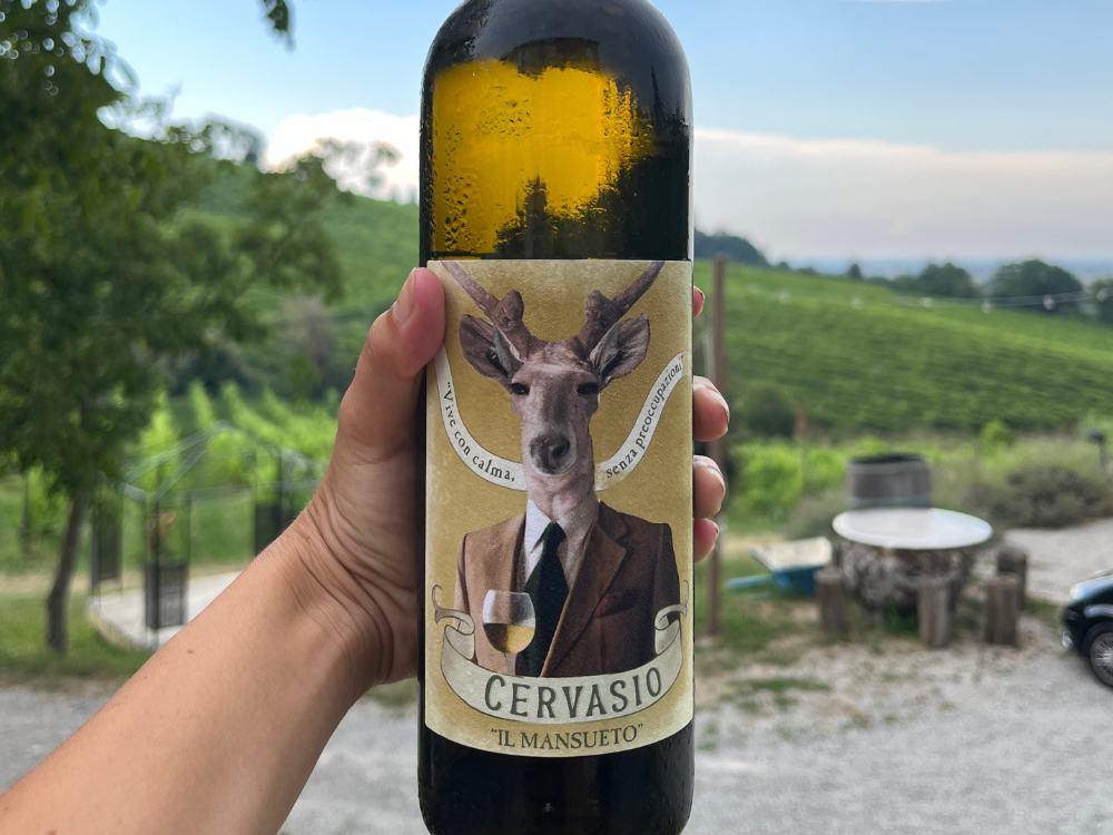 Malvasia di Candia ferma Cervasio 4:3