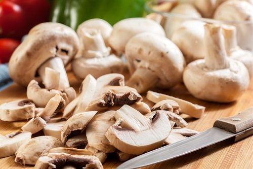 Funghi