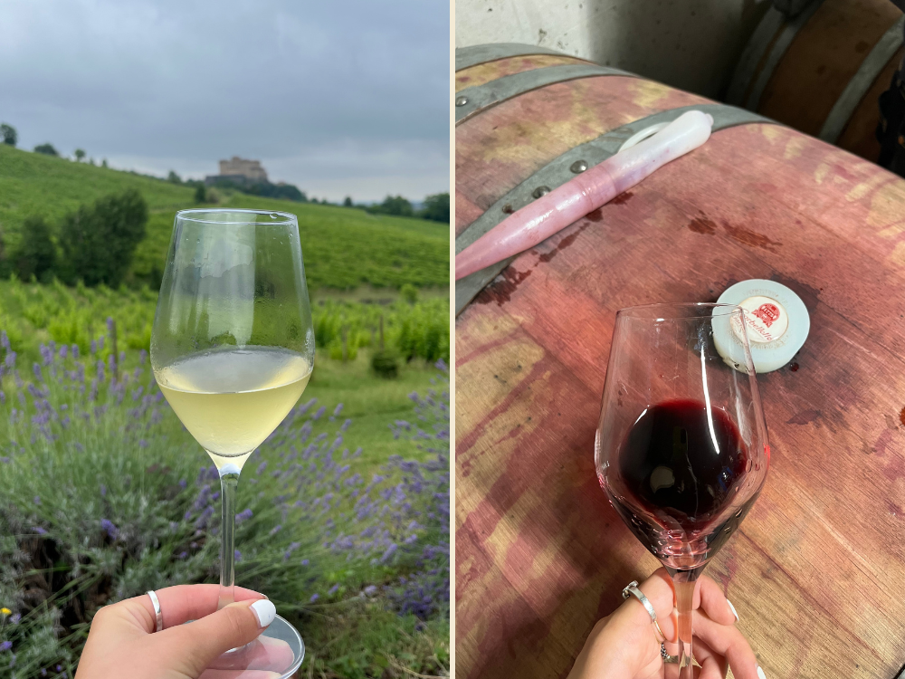 Degustazione nuovi vini