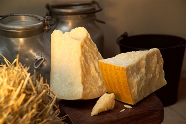 Qual è la differenza tra Parmigiano Reggiano e Grana Padano