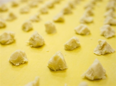 Anolini al parmigiano