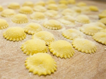 Anolini di Parma