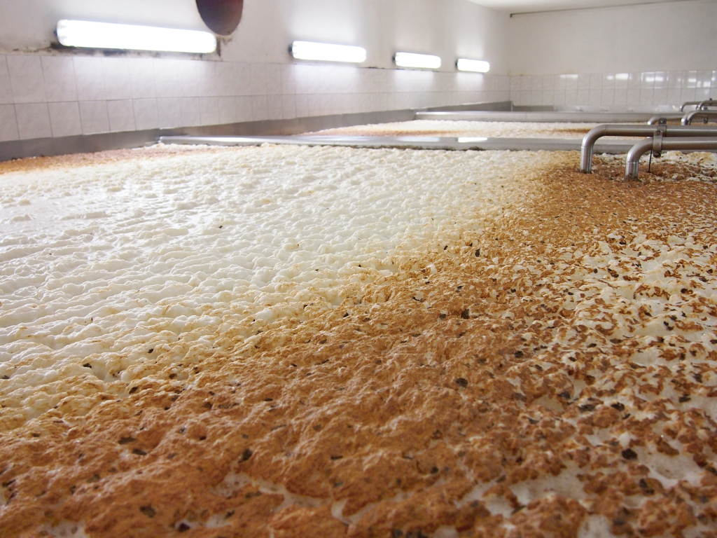Come si fa la birra: Fermentazione