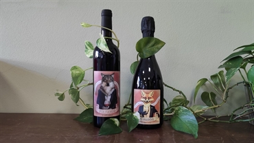 Nuovi vini rossi